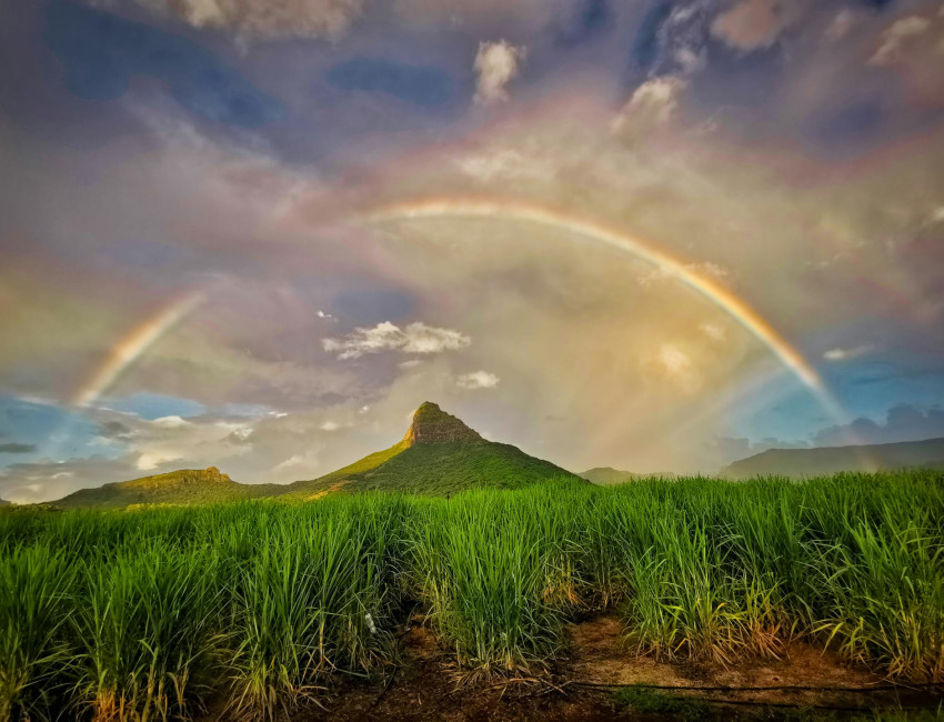 Rempart-fjellet ved Cascavelle vest på Mauritius