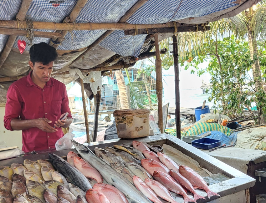 Fiskehandler i Fort Kochi - Kerala