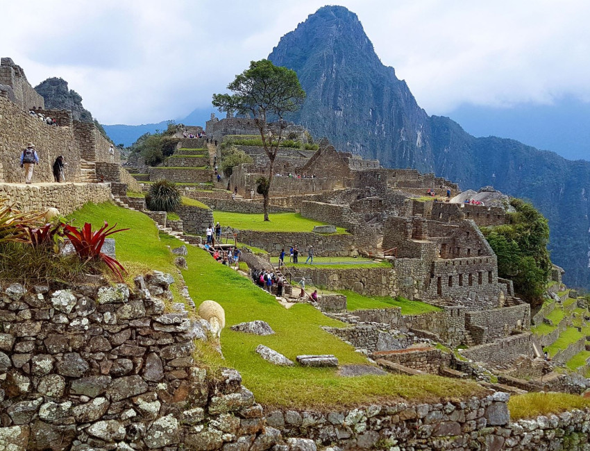 Machu Picchu - Peru