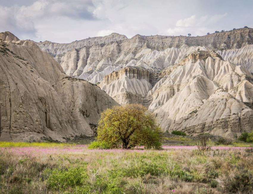 Vashlovani nasjonalpark