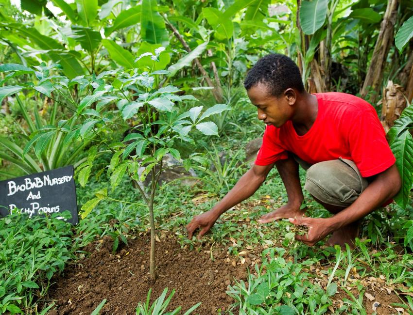 Nosy Komba, Madagaskar - foto: Tsara Komba Lodge