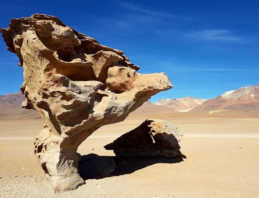 Eduardo Avaroa Andean Fauna National Reserve