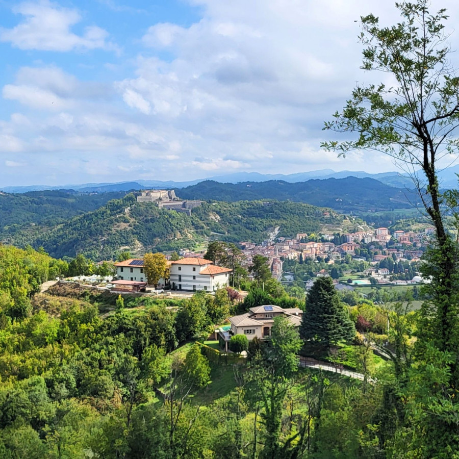 Utsikt fra landsbyen ned til vingården - og i bakgrunnen er Gavi by og Gavi fort
