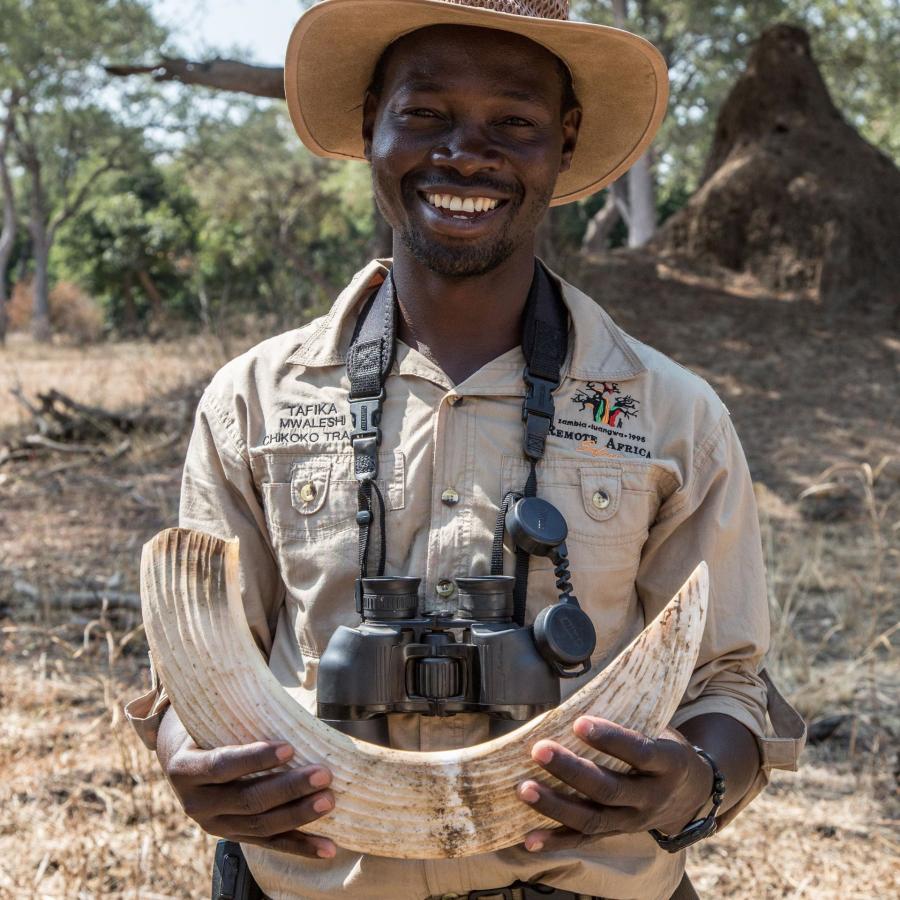 Vandresafari Zambia
